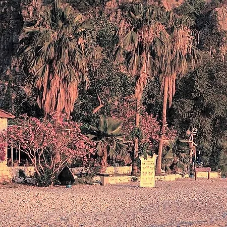 Hotel Butterfly Valley 3*